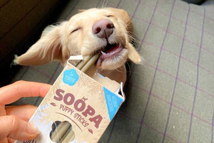 Soopa treats to suit your dog’s specific needs