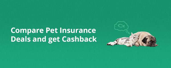 Compare pet insurance deals and get cashback.