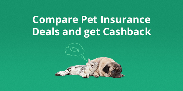 Compare Pet Insurance Deals and get Cashback