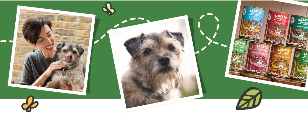 Lily’s Kitchen dog food