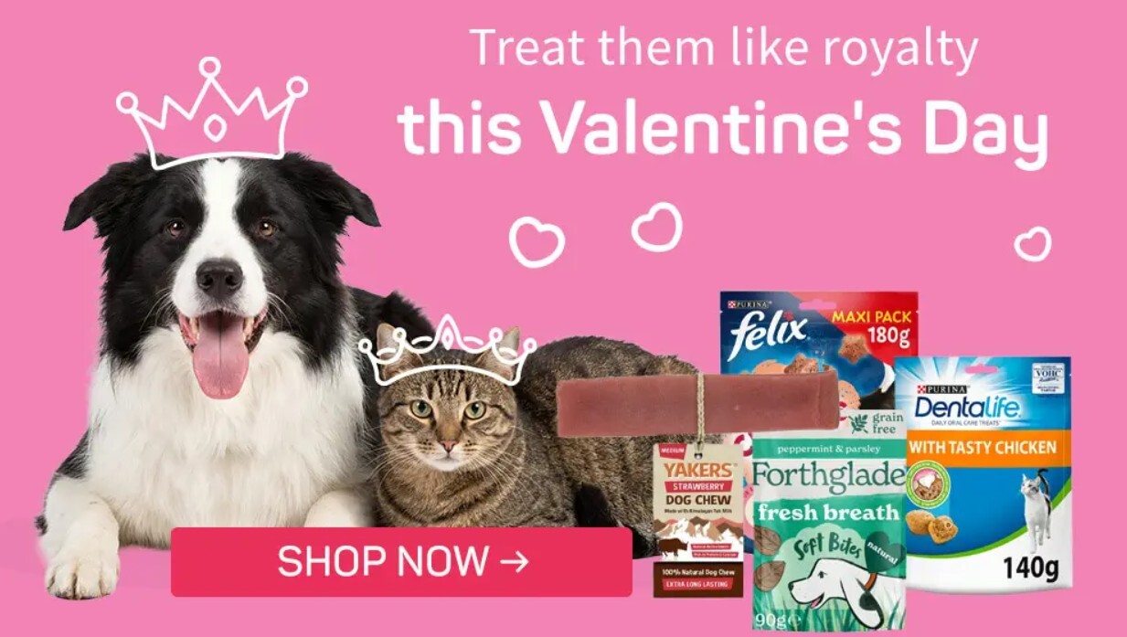 Viovet pet essentials