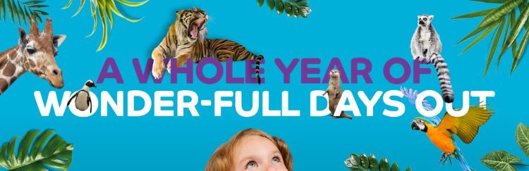 ZSL London Zoo membership for unlimited entry