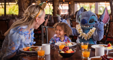 Disney Holidays