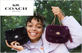 Coach Stores Ltd