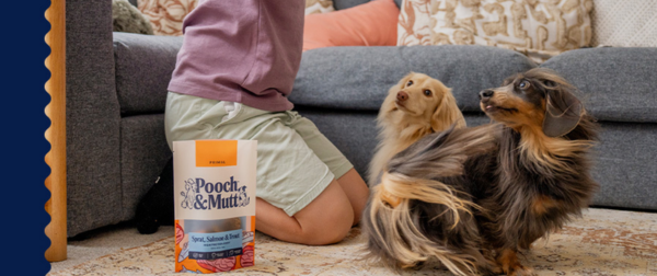 Pooch & Mutt
