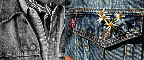 Levis