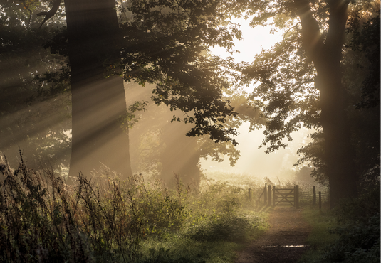 £15 cashback when you spend £15+ at National Trust