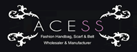 Acess Logo