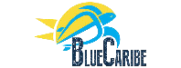 Blue Caribe Tours - logo
