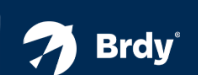 Brdy IE Logo