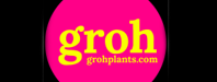 Groh Logo
