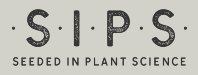 Herbal Sips Logo