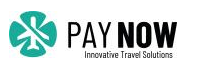 Pay Now Solutions - logo