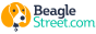 beagle street life insurance