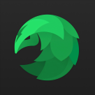 SafeShellVPN Logo
