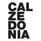 Calzedonia IE logo