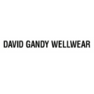David Gandy Wellwear logo