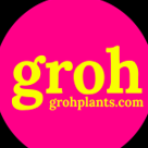 Groh Logo