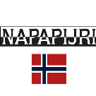 Napapijri UK logo