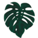 Pointless Plants logo
