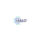 Halo Verify logo