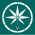 Voyager Life logo