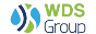 wds group